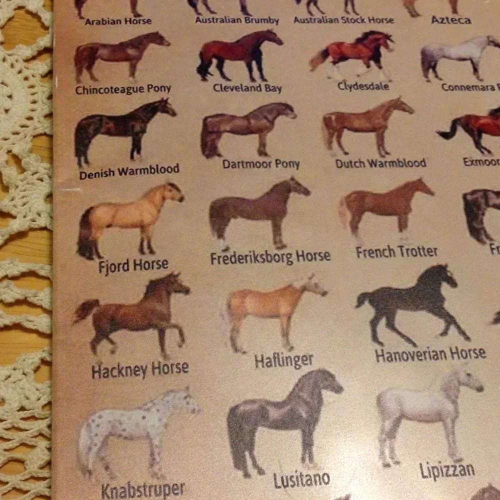 Equine types, sign showing different horse breeds